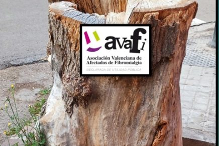 VIDEOS AVAFI- DÍA MUNDIAL 2025
